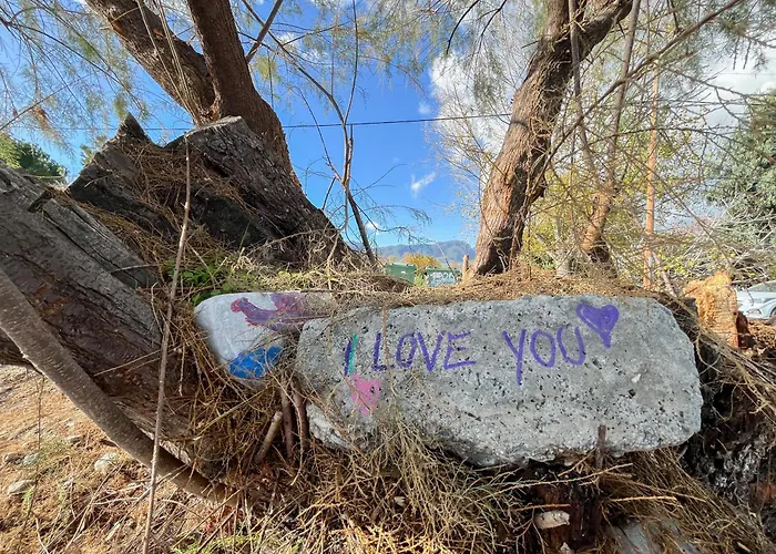 Elenis House 乐托卡亚